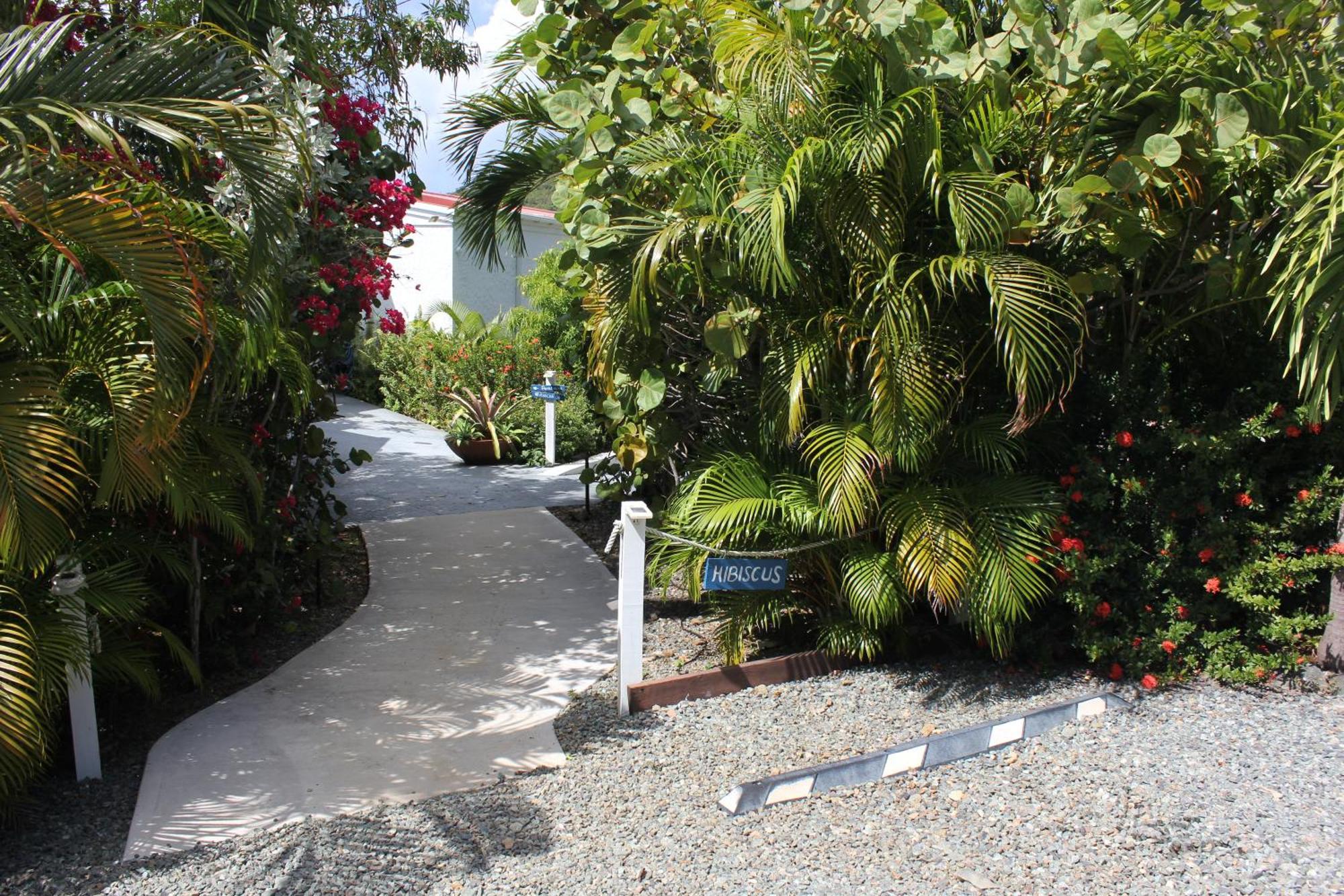 Beautiful Honeymoon Suite At Sunset Serenade Cruz Bay Eksteriør bilde